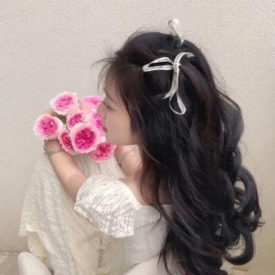 侠盗正传